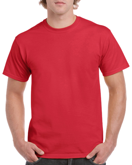 Heavy Cotton Adult T-shirt (5000)